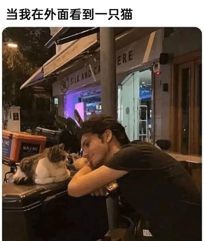 这是一张夜晚户外场景的梗图，画面顶部配有文字‘当我在外面看到一只猫’。图中一名穿黑色短袖的男子，双手交叉撑在身前的物体上，侧头托着下巴，眼神温柔又专注地和面前的白灰花色猫咪对视；猫咪安静地趴在黑色箱体上，神态放松，也正看向男子。背景是带有‘SILK AND CA’‘ERE’字样的街边店铺，左侧还有印有‘NAOMI’字样的橙色箱体。整体氛围温馨治愈，精准还原了爱猫人士在户外遇到猫咪时，会被深深吸引、忍不住投入全部注意力与之互动的真实状态。