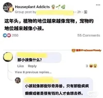 这是一张社交媒体截图，显示来自“Houseplant Addicts”群组的帖子。主帖内容为：“这年头，植物的地位越来越像宠物，宠物的地位越来越像小孩。” 下方有评论互动，一位用户提问“那小孩像什么？”，另一位用户回复“小孩就像那些珍奇异兽，只有那些疯疯癫癫或者是很有钱的人才会想去养。” 帖子获得260个反应和55条评论，截图中包含点赞数、评论数及部分用户头像（已模糊处理）。