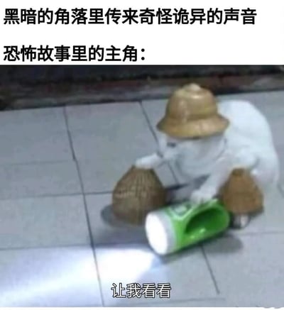 图片上方文字描述'黑暗的角落里传来奇怪诡异的声音 恐怖故事里的主角：'，营造恐怖氛围；下方是一只戴着草帽、背着两个草编袋的白色猫咪，正手持绿色手电筒照向地面，图片底部配有文字'让我看看'。通过恐怖场景设定与猫咪可爱探查行为的反差，形成幽默搞笑的效果。