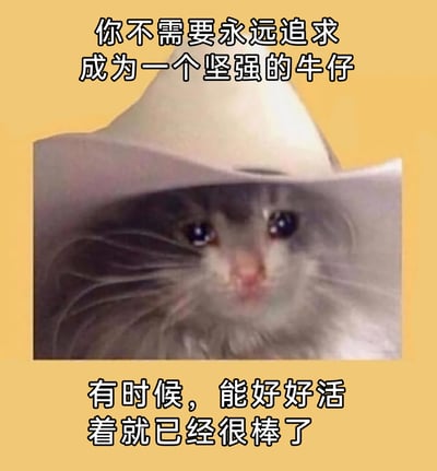 这是一张传递治愈情绪的顶配底文静态图，画面主体是一只戴着宽大牛仔帽的猫咪，猫咪眼睛湿润、神情委屈，仿佛即将落泪的模样惹人怜爱。图片上下分别配有文字：上方为‘你不需要永远追求成为一个坚强的牛仔’，下方为‘有时候，能好好活着就已经很棒了’，整体向观者传递出不必强迫自己时刻维持坚强，要学会接纳自身的脆弱，认可‘好好活着’本身就是一种了不起的成就的暖心态度，能够有效安抚在生活中感到疲惫、压力巨大的人群，引发强烈的情绪共鸣。