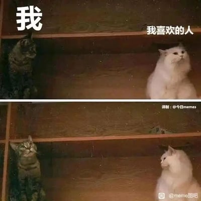 这是一张上下对比的连环梗图，以两只猫咪的互动来具象化暗恋者的心理活动。上图中，左侧被标注为“我”的狸花猫，抬头专注地看向斜上方，仿佛在默默注视着自己喜欢的人，眼神里满是期待；而右侧标注为“我喜欢的人”的白猫则转头看向别处，完全没有留意到旁边的狸花猫，精准还原了暗恋初期，自己单方面关注对方却不被注意的状态。下图中，狸花猫依旧保持着抬头关注的姿势，而白猫则转头看向了狸花猫的方向，对应了暗恋时，一直留意着对方的自己，终于等到对方注意到自己的那种微妙又雀跃的心情。整图用猫咪的可爱画面放大了这种细腻的情感，极易引发有过暗恋经历的人的共鸣，是很贴合日常情感表达的梗图。