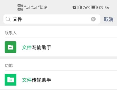 这是一张微信搜索界面的竖屏截图，用户在搜索框输入“文件”后，联系人栏出现了被修改名称的“文件专偷助手”，下方功能栏则是正常的“文件传输助手”。图中利用“传输”的“输”与“偷”的谐音玩梗，制造出官方功能像是恶意工具的趣味反差，带来搞笑效果。
谐音梗说明：将“文件传输助手”的“传输”改为“专偷”，形成反差笑点。