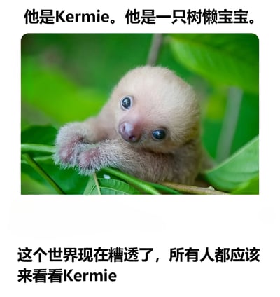 图片上方配有文字'他是Kermie。他是一只树懒宝宝。'，中间是树懒宝宝Kermie的特写照片：浅棕色柔软毛发，圆溜溜黑色大眼睛，爪子紧抓绿色树枝，背景为模糊绿叶，显得呆萌可爱。下方文字'这个世界现在糟透了，所有人都应该来看看Kermie'，整体营造用萌宠治愈坏心情的温暖氛围。