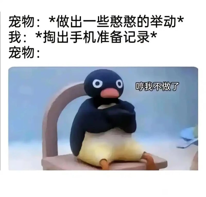 企鹅 (Pingu)