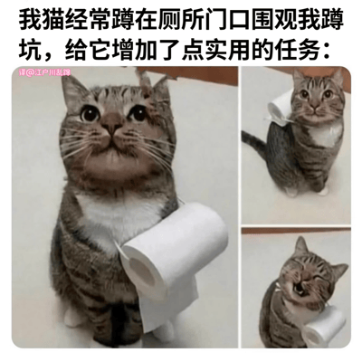 这是一张由三张图片组成的搞笑猫咪梗图。上方配有文字说明："我猫经常蹲在厕所门口围观我蹲坑，给它增加了点实用的任务："。图片展示了一只虎斑猫被P图处理成手持卫生纸卷的样子，分别从正面、侧面和表情特写三个角度呈现，幽默地表现了猫咪在厕所门口担任"监督员"并提供卫生纸的有趣场景。