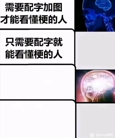 这是一张竖屏手机格式的图文混排梗图，采用分层结构展示不同人群理解网络梗的能力层级：最上层对应“需要配字加图才能看懂梗的人”，右侧搭配一幅蓝色的小型脑部X光图，代表理解能力较弱，需要完整的图文辅助才能领会梗的含义；第二层对应“只需要配字就能看懂梗的人”，右侧为空白，代表理解能力有所提升，仅需文字提示就能get到梗；第三层无文字说明，右侧是一幅亮度更高、看起来更发达的脑部图像，代表理解能力较强，无需额外提示就能理解梗；第四层为空白，右侧也为空白，代表理解能力达到最高级，甚至能领会无明确提示的深层梗意。整张图通过脑部图像的视觉差异，调侃了网络环境中不同网友对梗的理解能力差异，风格搞笑，属于典型的网络迷因创作。