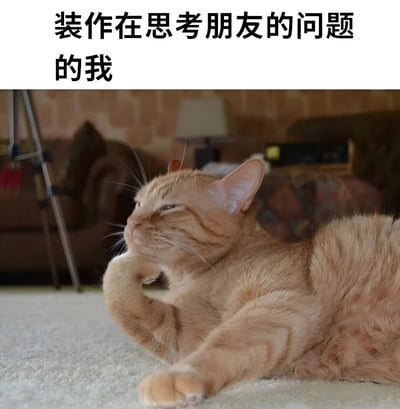 图片上方为黑色文字标题“装作在思考朋友的问题的我”，下方是一只橘色虎斑猫的照片。猫咪躺在浅色地毯上，身体舒展，右前爪弯曲托着下巴，双眼半眯，表情慵懒中带着一丝假装的沉思。背景为模糊的客厅环境，有沙发、台灯和三脚架等陈设，突出猫咪主体。整体通过猫咪的神态与文字结合，幽默地表现了人们在朋友倾诉时假装认真思考的状态。