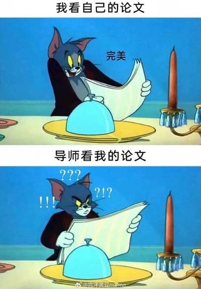 该图为上下两格对比的卡通梗图，改编自动画《猫和老鼠》中的汤姆形象。上格标题为“我看自己的论文”，汤姆穿着黑色外套，手持纸张，表情自信得意，旁边配文“完美”，展现学生对自己论文的满意；下格标题为“导师看我的论文”，汤姆同样手持纸张，但眉头紧锁，周围环绕“??? !!! ??!?”，表情困惑震惊，幽默对比了学生自我认知与导师评价的巨大反差，反映学术写作中常见的视角差异。