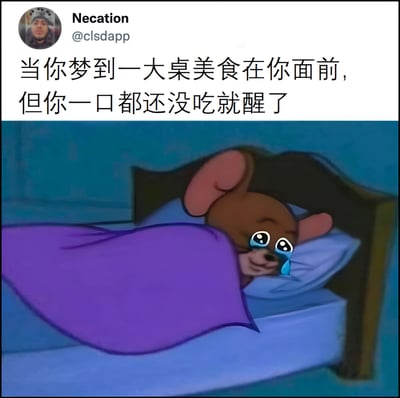 这张梗图上方是社交媒体用户Necation的帖子，描述了“梦到一大桌美食却在开吃前醒来”的扎心经历。下方配图是一只棕色老鼠躺在床上，盖着紫色被子，双眼含泪、表情悲伤，完美诠释了那种即将享用美食却突然醒来的失落与无奈。画面生动展现了人们普遍经历过的梦境遗憾，引发共鸣。