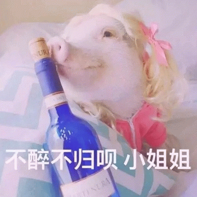 戴金发假发的猪猪举杯：不醉不归呗小姐姐