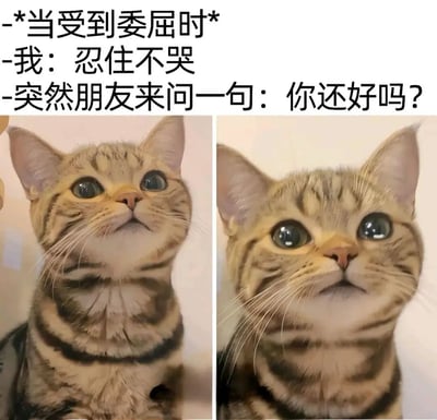 这是一张双面板梗图，展示了虎斑猫在受到委屈时的情感变化。左面板中，猫咪抬头强忍泪水；右面板中，朋友一句‘你还好吗？’让它瞬间变得脆弱，仿佛即将落泪。图中文字生动描述了这种常见的情感体验：独自承受委屈时努力坚强，但朋友的关心却能轻易打破心理防线，引发强烈共鸣。