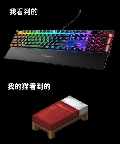 这是一张上下结构的对比类搞笑梗图，上方展示了人类视角下的赛睿SteelSeries RGB机械键盘，键盘带有多彩渐变背光，搭配同品牌手托，是典型的电竞外设产品；下方则是创作者脑补的猫咪视角，将键盘与手托的组合外形，联想成沙盒游戏《我的世界》里的红色方块床。图中通过“我看到的”和“我的猫看到的”的文字标注，制造出人类与猫咪认知的强烈反差，用猫咪奇特的视角趣味调侃猫咪的脑回路，引发观众的共鸣与笑点。