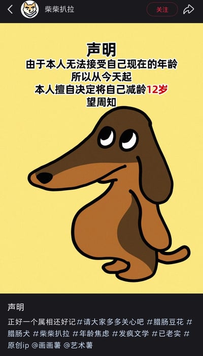 这是一张竖屏手机格式的卡通图文内容，由小红书账号“柴柴扒拉”发布。图中主体是原创IP“腊肠豆花”的棕色卡通腊肠犬，它侧身坐着，眼神带着无奈又略带倔强的情绪。图上方配有醒目的声明文案，以“无法接受当前年龄”为由，擅自决定给自己减龄12岁，用当下流行的“发疯文学”风格，以幽默自嘲的方式调侃年龄焦虑。图底部附带了相关话题标签，包括#年龄焦虑 #发疯文学 #腊肠豆花等，同时标注该原创IP来自@画画薯 @艺术薯，整体风格轻松有趣，契合年轻人缓解情绪的表达习惯。