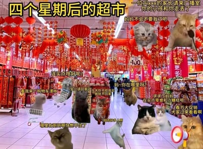 这是一张以春节前超市为背景的趣味合成图，用热门的mur猫表情包拟人化还原了春节临近时超市里的众生相：背景是挂满红灯笼、春联等春节装饰的超市，处处充满年味，同时人潮涌动。图中添加了多只神态、动作各异的mur猫，每只猫都配有符合场景的台词，比如有的猫咪着急找厕所，有的孩子猫撒娇要零食和沙糖桔，有的家长猫喊孩子回家，还有广播寻人、超市促销的猫咪，生动又搞笑地展现了春节前超市热闹、混乱又充满烟火气的场景，让观者能共情到春节采购时的各种真实状态，充满趣味性和共鸣感。