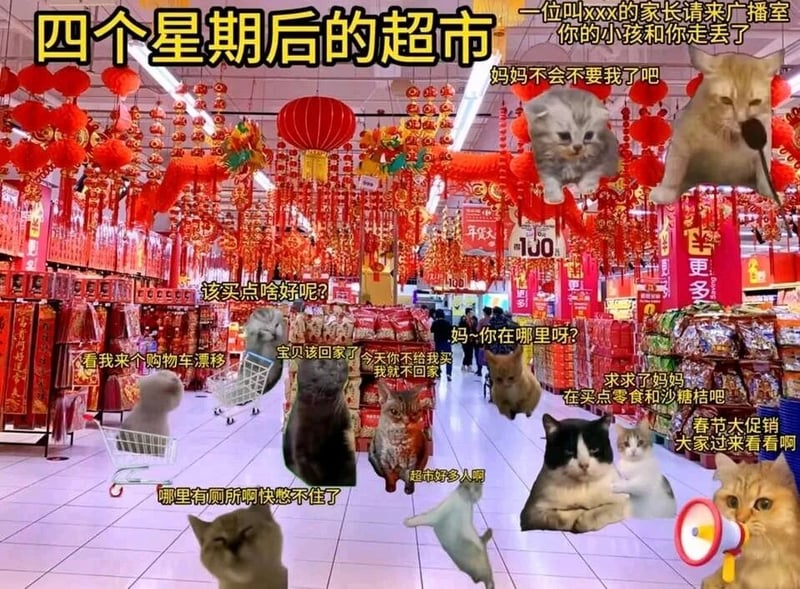 mur猫表情包