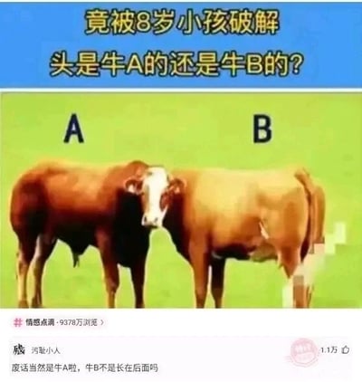 这是一张来自国内社交媒体平台的截图，属于图文混排的顶配底文图，同时是经过P图改编的静态图。图中上方蓝色背景的文字提出问题：“竟被8岁小孩破解 头是牛A的还是牛B的？”，下方是将两头牛的身体和头部拼接而成的图片，左侧棕色牛的身体标注为A，右侧浅棕色牛的身体标注为B，右侧牛的尾部被做了马赛克处理。图片左下角带有“#情感点滴·9378万浏览”的话题标识，显示该内容有极高的浏览量。下方评论区中，用户“污耻小人”的评论获得1.1万赞，评论内容为“废话当然是牛A啦，牛B不是长在后面吗”，该评论利用了“牛B”与脏话“牛逼”的谐音双关，同时结合牛的身体部位玩梗，既回答了图中的问题，又制造了搞笑效果。这张图通过视觉拼接制造混淆，再用谐音梗的评论来破解，属于典型的网络搞笑梗图。