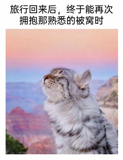 这是一张趣味图文梗图，上方配文“旅行回来后，终于能再次拥抱那熟悉的被窝时”，下方是一只长毛斑纹猫咪，它闭着双眼，仰头露出满脸陶醉、满足的神情，背景是粉蓝渐变天空下的层叠山峦景色。图片用猫咪的拟人化状态，精准表现了人们在结束旅行的疲惫后，回到熟悉的家中被窝时那种放松、惬意、无比满足的心情，能够引发有类似经历的网友强烈共鸣，充满治愈感。