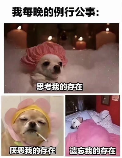 一张多图拼接的搞笑梗图，通过三只不同状态的小狗形象幽默展现现代人的夜间情绪变化。上方大图中，戴着粉色浴帽的吉娃娃泡在充满泡泡的浴缸里，背景有燃烧的蜡烛，配文“思考我的存在”；左下角图中，戴着花朵造型发箍的小狗叼着香烟，闭眼皱眉，配文“厌恶我的存在”；右下角图中，小狗蜷缩在粉色被窝里熟睡，配文“遗忘我的存在”。整体以拟人化的狗狗日常，调侃“思考-厌恶-遗忘”的夜间心理循环，充满自嘲与幽默感。
