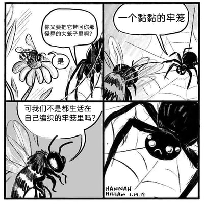 这是一则四格黑白拟人漫画，第一格中，停在花朵上的蜜蜂看到蜘蛛捕获了飞虫，开口询问蜘蛛“你又要把它带回你那怪异的大笼子里啊？”，蜘蛛简短回应“是”；第二格中，蜘蛛看着被蛛网困住的飞虫，感慨这是“一个黏黏的牢笼”；第三格中，蜜蜂悬停在空中，认真地说出富有哲理的话：“可我们不是都生活在自己编织的牢笼里吗？”；第四格中，蜘蛛听到这句话后，露出悲伤的神情，眼眶里含着泪水，显然被这句话深深触动。漫画通过动物的对话，将蛛网隐喻为牢笼，进而引申到人类自身的生活状态，探讨了人们被自身的习惯、生活模式所束缚的普遍现状，以细腻的拟人化表情和动作，传递出对人生的深刻思考。