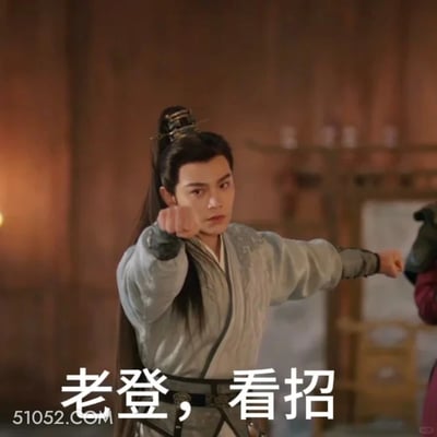 图片中是一位身着古装的男子，梳着发髻，穿着灰色长袍，正摆出武术起手式，双拳向前伸出，表情严肃专注。图片底部有白色文字“老登，看招”，结合“老登”这一网络热梗，形成带有讽刺意味的幽默效果。