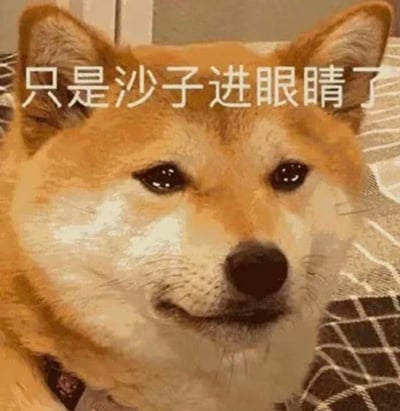 图片中是一只表情委屈的柴犬，眼睛看起来有些湿润，似乎在强忍着泪水。它趴在带有格子图案的垫子上，耳朵竖起，眼神中透露出一丝无辜和难过。图片上方配有文字“只是沙子进眼睛了”，用幽默的方式掩饰真实的情绪，形成一种反差萌的搞笑效果。