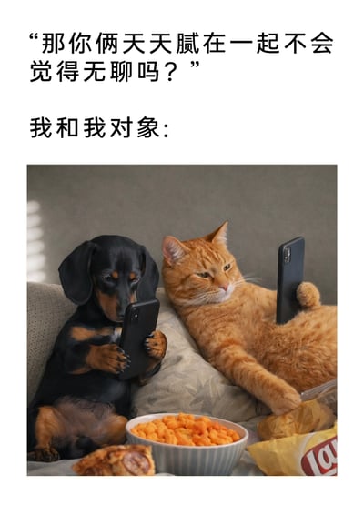 这是一张趣味拟人化梗图，上方配文以旁人的提问“那你俩天天腻在一起不会觉得无聊吗？”引出主题，随后用“我和我对象”对应下方的图片内容：一只黑棕配色的腊肠犬和一只橘猫慵懒地躺在沙发上，各自用爪子举着手机专注观看，沙发上还摆放着零食，生动地展现了情侣之间一种松弛的相处模式——即使长时间待在一起，也可以各自专注于自己的事，互不打扰，不会产生无聊感，通过宠物拟人化的方式，幽默地调侃了这种常见的情侣日常状态，引发同类情侣的共鸣。