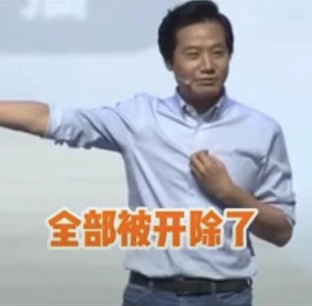 小米集团创始人、董事长兼CEO