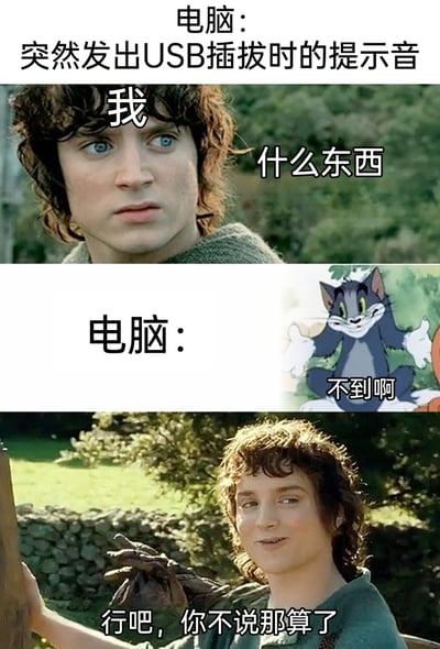 这是一张由三部分拼接而成的搞笑梗图，精准还原了使用电脑时遇到的日常迷惑场景：电脑突然发出USB插拔的提示音，用户听到后一脸疑惑地想找出原因，却毫无头绪，最后只能无奈妥协。第一部分用《指环王》中弗罗多疑惑惊讶的表情，表现用户听到提示音后的困惑；第二部分搭配《猫和老鼠》里汤姆猫贱兮兮的摊手表情与配文“不到啊”，模拟电脑“装糊涂”的状态；第三部分用弗罗多无奈的表情，表现用户找不到原因后的妥协心态，戳中了很多人使用电脑时遇到这类莫名小问题的共鸣点。