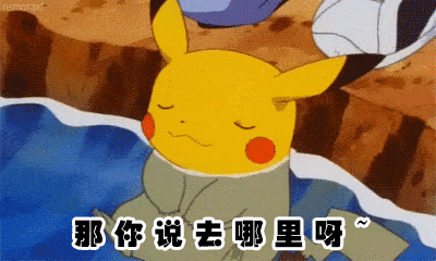 皮卡丘歪头疑惑：那你说去哪里呀~