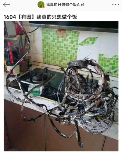 社交媒体截图显示一个厨房场景，灶台和台面上散落着严重烧焦变形的金属残骸，背景是绿色方格瓷砖墙（部分瓷砖脱落）。图片上方配有文字'1604【有图】我真的只想做个饭'，表达了做饭失败后无奈又搞笑的情景，展现了一次夸张的厨房灾难。