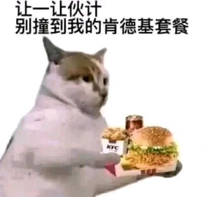 一只拟人化的猫咪，表情严肃地双手捧着一份肯德基套餐，套餐里有汉堡、薯条和可乐。图片上方配有文字“让一让伙计 别撞到我的肯德基套餐”，营造出猫咪非常珍视这份快餐的搞笑场景。
