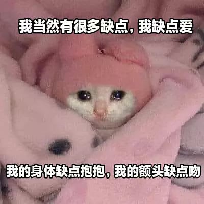 这是一只被粉色毛毯包裹、头上戴着粉色帽子的猫猫表情包。猫咪露着小脑袋，可爱地看着镜头，文字内容自嘲地以“缺点”一词作双关梗，先表示有很多不足，后面却用“缺点爱”“缺点抱抱”“缺点吻”委婉地表达了猫咪想要被爱和关怀的渴望。整体画面温馨可爱，带点自嘲和撒娇的语气，适合用来表达希望得到关注和安慰时的心情。

梗中多处使用了“缺点”的双关语：一方面是性格缺点，另一方面是“缺少一点点……”的意思，营造出幽默可爱效果。