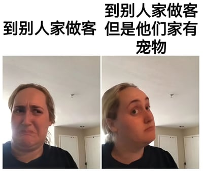 这是一张左右对比的梗图，左侧图片上方文字为“到别人家做客”，画面中是一位女性，她眉头紧锁，嘴角下撇，表情显得有些担忧和拘谨；右侧图片上方文字为“到别人家做客 但是他们家有宠物”，同一位女性表情发生明显变化，眼睛睁大，嘴角微微上扬，头部转向一侧，流露出兴奋和期待的神情。图片通过对比展现了人们在做客时，得知对方家有宠物前后的情绪转变，幽默地突出了宠物对访客心情的积极影响。