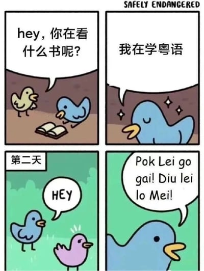 四格漫画中，黄色小鸟询问正在看书的蓝色小鸟“hey, 你在看什么书呢?”，蓝色小鸟开心地回答“我在学粤语”并闪着星星眼。第二天，粉色小鸟打招呼说“HEY”，蓝色小鸟却突然用粤语粗俗用语“Pok Lei go gai! Diu lei lo Mei!”回应，形成学习粤语与实际说出粗俗话的搞笑反差。