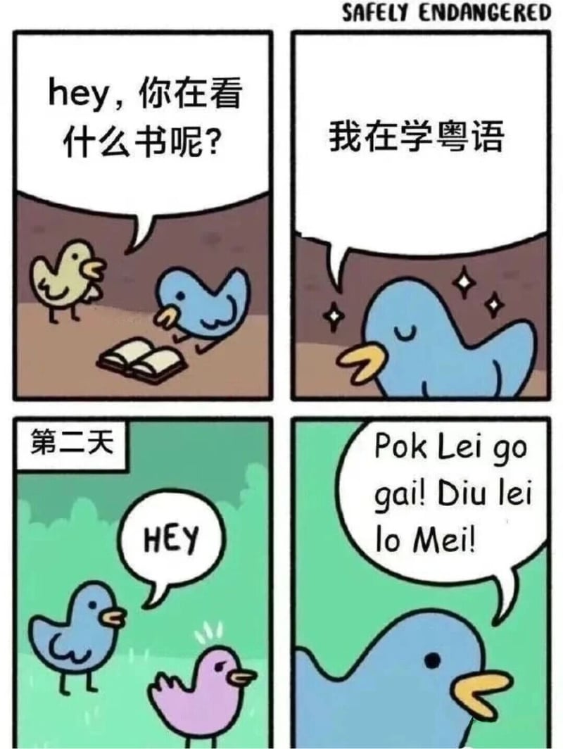 黄色小鸟