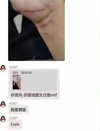 这是一张QQ聊天记录截图，展示了一段包含误解的对话。一位用户询问@武内 "你是地雷女还是mtf"，对方回复"我是兽医"，随后出现了愤怒的回应"Cnm"。聊天界面显示了用户头像、用户名和时间戳。