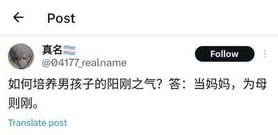 这是一张X平台（原Twitter）的社交媒体帖子截图，帖子发布者昵称是“真名”，昵称后附带跨性别骄傲旗图案，用户名为@04177_realname，头像是一名银发的动漫男性角色。帖子正文提出问题“如何培养男孩子的阳刚之气？”，给出的回答为“当妈妈，为母则刚”，利用成语“为母则刚”玩文字新解梗，贴合问题玩谐音/字面梗。截图完整保留了X平台的帖子界面，右侧有“Follow（关注）”按钮，左下角有“Translate post（翻译帖子）”选项。