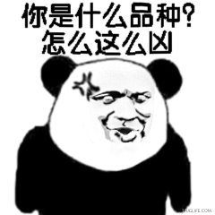 熊猫头质问：你是什么品种？怎么这么凶