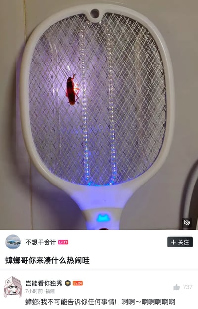 图片上半部分是一张近距离实拍照片：一只红褐色蟑螂贴在白色电蚊拍的金属网格上，电蚊拍内部的紫蓝色灯条发光，蟑螂腿部附近出现明显的亮白电火花，呈现被电击、挣扎的状态。背景是浅色墙面或瓷砖。下半部分是社交媒体界面截图，用户“不想干会计”发布内容“蟑螂哥你来凑什么热闹哇”；用户“岂能看你独秀”评论“蟑螂:我不可能告诉你任何事情！啊啊～啊啊啊啊啊”，用拟人化台词模仿蟑螂受刑时宁死不招并不断惨叫，制造喜剧效果。标题“战螂”与“战狼”谐音，把一只撞上电蚊拍的蟑螂调侃成正在苦战的角色。