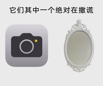这是一张充满脑洞的趣味梗图，画面上方配有文字“它们其中一个绝对在撒谎”，左侧是苹果iOS系统的相机应用图标，右侧是一个带有精致雕花边框的椭圆形欧式复古镜子。梗图的核心趣味点来源于日常认知：镜子呈现的是左右翻转的镜像，是我们日常习惯看到的自己；而相机拍摄的是他人视角下的真实画面，两者给人的视觉观感存在明显差异，人们往往会觉得其中一个“不像自己”，因此用“撒谎”来调侃这种视觉差异带来的认知反差，引发观者对“镜子与相机哪个更真实”的共鸣与讨论。