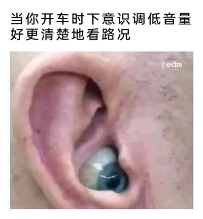 这是一张趣味合成梗图，画面将人类耳朵的内部替换成了眼球，搭配上方的中文文案“当你开车时下意识调低音量好更清楚地看路况”，用来调侃很多司机都有的一种看似无逻辑的下意识行为：认为降低车内音量能让自己更清晰地观察路况，把听觉和视觉的感知混淆。图中荒诞的“耳朵里长眼睛”的画面，生动具象化了这种错觉，戳中了不少司机的共同经历，充满搞笑趣味。