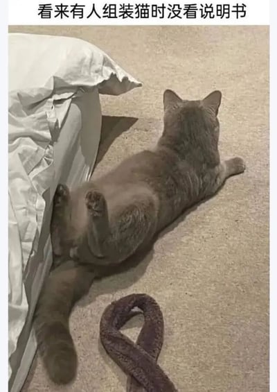 图片中一只灰色猫咪正以一种奇特的姿势躺在米色地毯上，身体紧贴着床边（白色床单的床），后腿向后伸展，整体姿态看起来像是被“组装”时安错了零件，显得十分滑稽。图片顶部配有文字“看来有人组装猫时没看说明书”，用拟人化的“组装”概念幽默调侃猫咪的搞笑姿势，充满轻松诙谐的氛围。