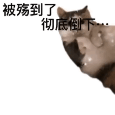 一只猫咪四脚朝天倒下的动态图，伴随着文字'被殇到了 彻底倒下...'，表达一种受伤后无力倒下的状态。猫咪的表情看起来有些无辜和受伤，身体呈现出倒下的动态效果。