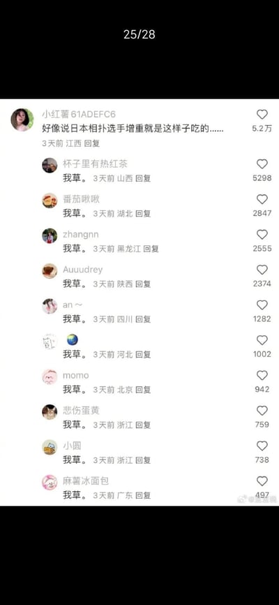 这是一张小红书平台的评论区分页截图（显示为25/28），第一条评论由来自江西的用户“小红薯61ADEFC6”发布，内容为“好像说日本相扑选手增重就是这样子吃的……”，收获了5.2万点赞。随后来自山西、湖北、黑龙江、陕西、四川、河北、北京、浙江、广东等地的多名用户，统一回复“我草”，以此表达对相扑选手增重饮食方式的震惊，这些回复的点赞数从数千到数百不等。图中没有双关、谐音梗或暗示类内容。