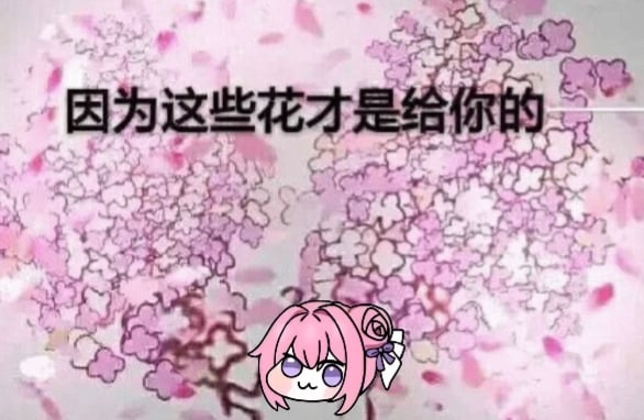 Doro捧着樱花对你说：这些花才是给你的