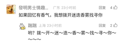 这是一张社交媒体评论区的静态截图，展示了两位用户的趣味互动。来自广东的用户“发明男士情趣...”发布了一句带有文艺感的句子：“如果回忆有香气，我想拨开迷迭香雾找寻你”，该评论收获了4个点赞；随后来自上海的用户“踹踹”以拖长音加波浪线的排版方式模仿原句，将文艺句子转化为带有调侃意味的语气：“哟？拨～开～迷～迭～香～雾～找～寻～你～～～～”，收获了2个点赞，这种模仿式的玩梗消解了原句的文艺感，让评论区充满轻松有趣的氛围。