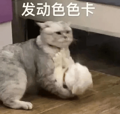 图片中一只白色猫咪趴在木地板上，前爪抱着一只白色毛茸茸的小动物（可能是兔子或小猫），表情平静。图片顶部有醒目的白色文字“发动色色卡”，整体营造出可爱又略带幽默的氛围。