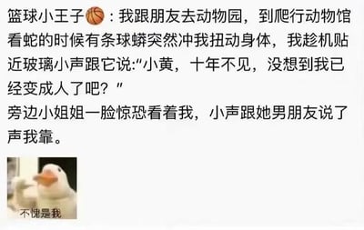 这是一张图文混排的社交媒体内容，上方是用户“篮球小王子”分享的搞笑经历：自己和朋友去动物园爬行动物馆时，看到一条球蟒冲自己扭动身体，便故意贴近玻璃对着球蟒小声说道“小黄，十年不见，没想到我已经变成人了吧？”，旁边的小姐姐听到这句话后一脸惊恐，小声跟身边的男朋友说了句“我靠”。下方搭配了一张卡通鸭子的表情包，鸭子抬着一只手，配文“不愧是我”，用这个表情包来呼应自己的整活行为，强化了搞怪、滑稽的氛围。这个内容的笑点在于故意对着蛇说出容易让人误解的话语，制造出和旁人认知的反差，从而产生搞笑效果，显得荒诞又有趣。