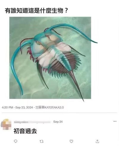 这是一张X平台（原推特）的社交媒体截图，发布者加藤軍KATOTAKA2.0于2024年9月23日发布了一张虚构远古海洋生物的插画，该生物的长触须造型模仿了虚拟歌手初音未来的双马尾，配文询问“有谁知道这是什么生物？”。9月24日有用户在评论区回复“初音过去”，玩了谐音梗：将“初音未来”的“未来”替换为“过去”，既对应该生物是远古（过去）的生物，又捏他了初音未来的形象，形成趣味十足的网络玩梗效果。