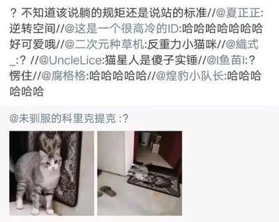 这是一张微博平台的社交媒体截图，上方是多条网友的转发评论内容，下方是左右排列的两张真实猫咪照片。左侧照片中，一只灰白相间的猫咪端正地站立在带有花纹的地毯上；右侧照片里，同一只猫咪以身体贴地的姿势“躺”在地毯上，视觉上仿佛地毯和猫咪的位置发生了反转，营造出“反重力”的错觉。网友们纷纷转发调侃，评论内容包括“不知道该说躺的规矩还是站的标准”“反重力小猫咪”“猫星人是傻子实锤”等，充满趣味。